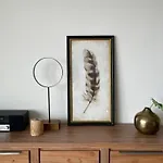 假日公园 Boulevard 海边的艾格蒙特